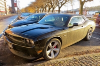 Dodge Challenger Escapade à Stockholm