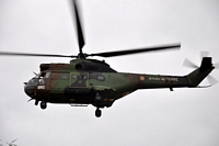 Hélicoptère Puma Les véhicules du Carrousel de Saumur