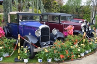 citroen exposition jardinerie Laplace Chelles 2015