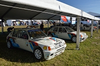 Peugeot 205 T16 Les Grandes Heures Automobiles 2016