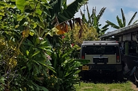  Carspotting en Polynésie Française