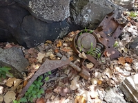  Les canons de Bora Bora