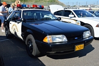  American Sunday 2025 à Zandvoort