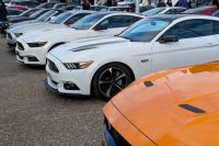  Rencart mensuel du Parvis du Val de Scarpe à Arras, Octobre 2025