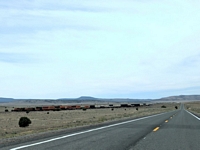  Carspotting sur un bout de la Route 66 en Arizona